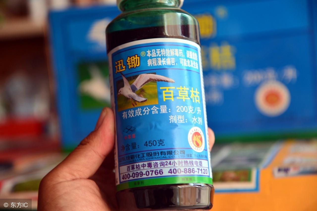 多方观点下的最新禁卖农药探讨与解析